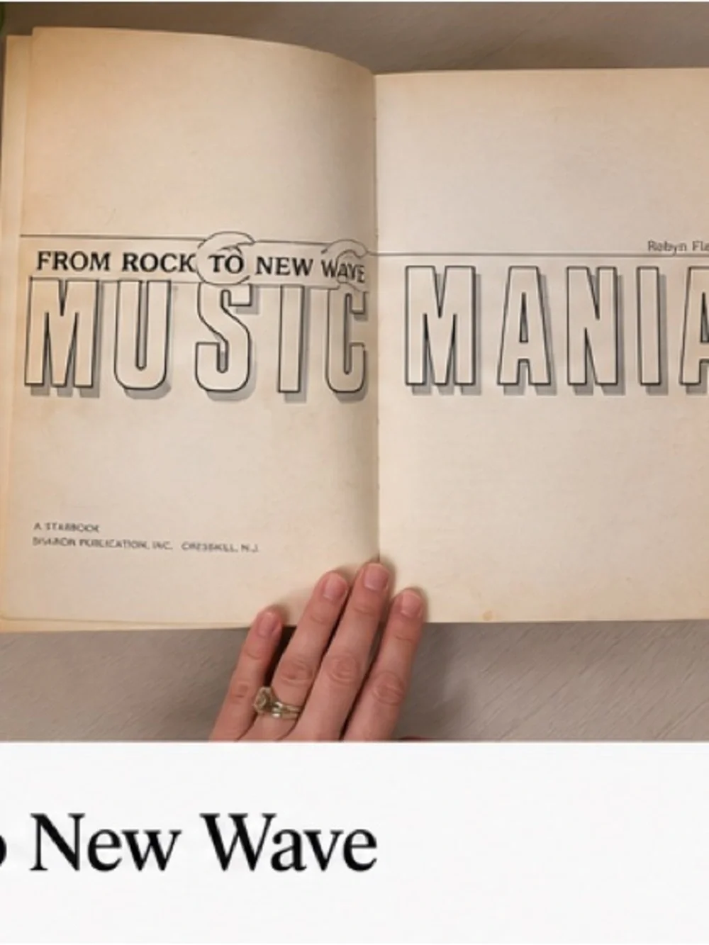 Vintage 1983 Musicmania From Rock to New Wave Robyn Flans Beatles Fleetwood Mac